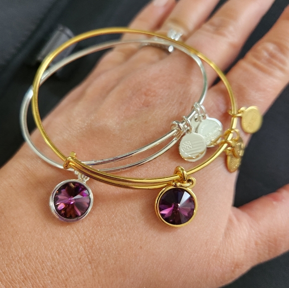 Alex and Ani Expandable Coppure Bangle Purple Stone Charm set of 2 - Picture 1 of 8